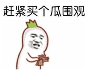 娱乐吃瓜酱达到了顶峰